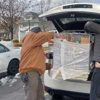 <p>The rescued birds were being cared for.</p>