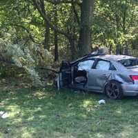 <p>The Audi crashed on the southbound PIP near Exit 2 in Alpine.</p>