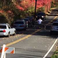 <p>A resident walks his dog through the blocked off part of Norfield Road</p>