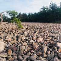 <p>Boulder Field, Hickory Run State Park Lake Harmony, PA</p>