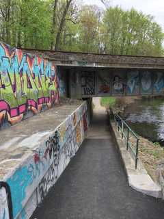 Letter: Should County Remove Graffiti On Bronx River Parkway?
