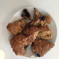 <p>Free samples of Liburid&#x27;s blueberry scone sit atop the white counter in American Bulldog Coffee Roasters.</p>