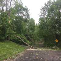 <p>Thousands in Danbury remain without power following the storm.</p>