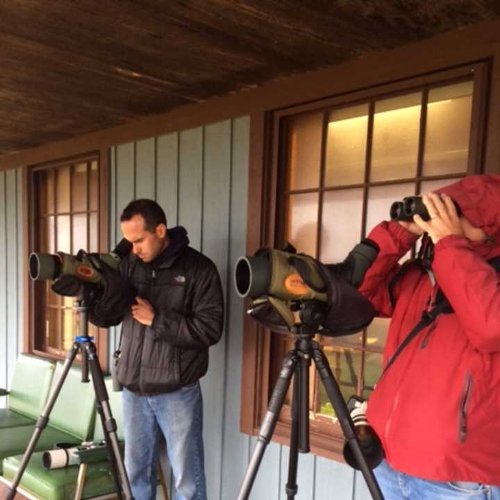 Nick Bonomo, of Wallingford, and Frank Mantlik, of Stratford, spent a recent day birding at Stratford Point.