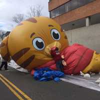 <p>Workers deflate the balloons from the parade on Sunday. It was too windy to fly the giant characters in the UBS Parade Spectacular in Stamford.</p>