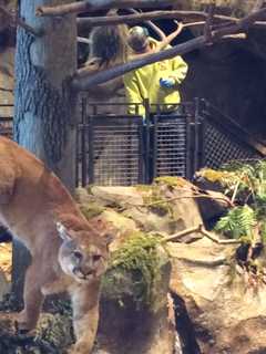 Bass Pro Shops Ready For Wednesday's Grand Opening In Bridgeport