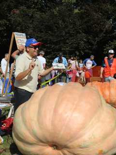Winner Repeats At Ridgefield's Annual Pumpkin Weigh-In 