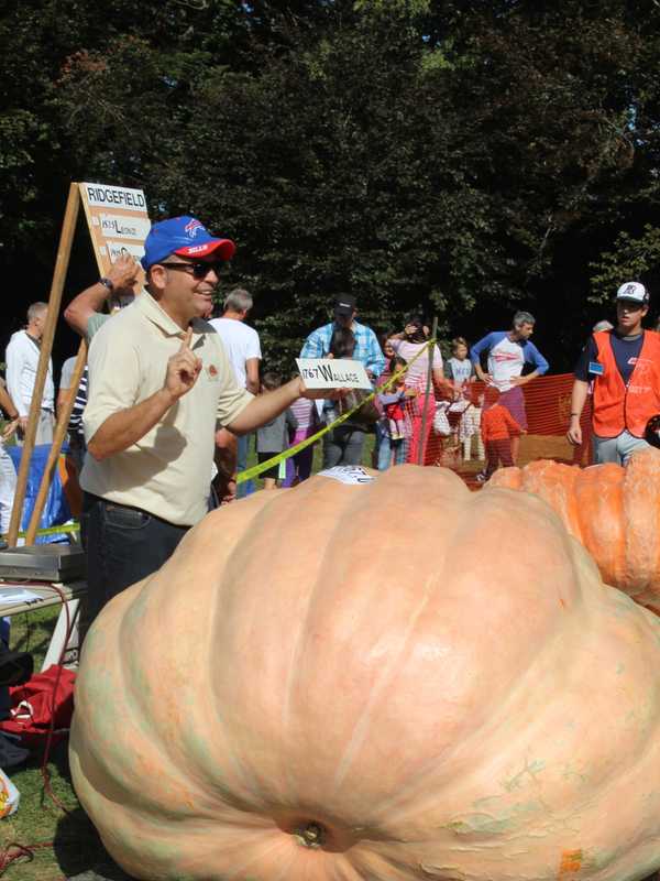Winner Repeats At Ridgefield's Annual Pumpkin Weigh-In 