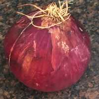 Salmonella Outbreak Linked To Red Onions Has Sickened Hundreds, FDA Says