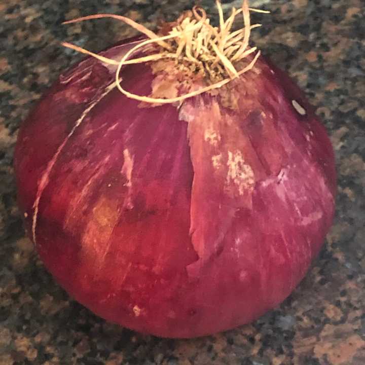 Red onion