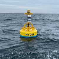 <p>Researchers are using a special buoy about 20 miles off the coast of Atlantic City, NJ, to track whales and protect them from boat collisions.</p>