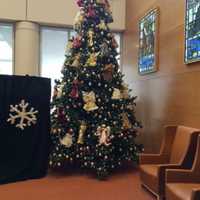 <p>The 2015 St. Vincent&#x27;s Medical Center Christmas tree</p>