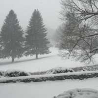 <p>The snowstorm from Pleasantville.</p>