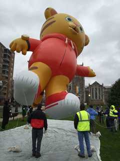 Parade Comes To Life: Join The Fun At Stamford's Balloon Inflation Party