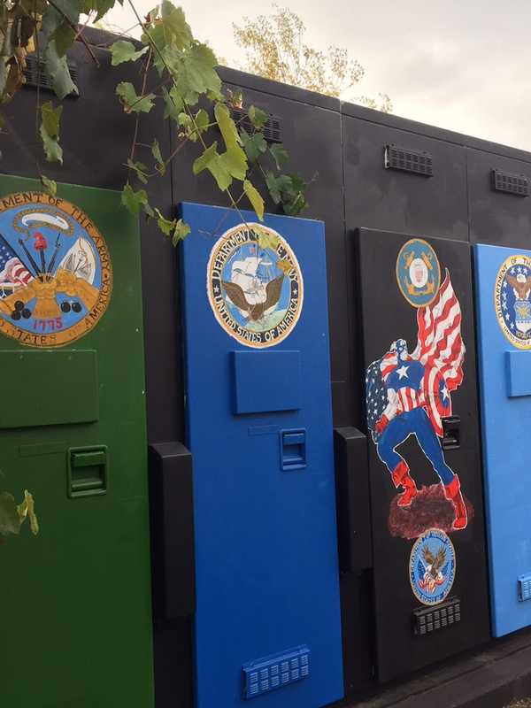 Household Items Needed For Shelton Eagle Scout Project To Help Veterans