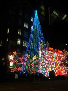 Demarest Lights Up Borough With Christmas Tree Gathering