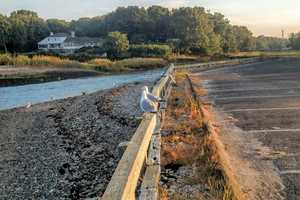 Soaking In The End Of Summer While Taking A Spin In Westport