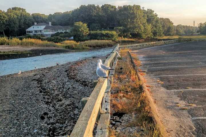 Soaking In The End Of Summer While Taking A Spin In Westport