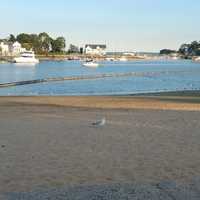 <p>Mamaroneck Harbor as it looked from a distance in the Village of Mamaroneck on Tuesday evening.This view is from the filtered/netted swim area, so no dead fish are there.</p>