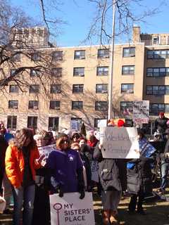White Plains Resistance Rally Draws Diverse Groups From Across County