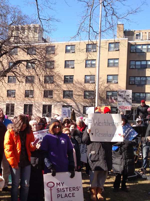 White Plains Resistance Rally Draws Diverse Groups From Across County
