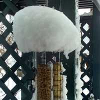 <p>A snowy bird feeder in Granite Springs.</p>