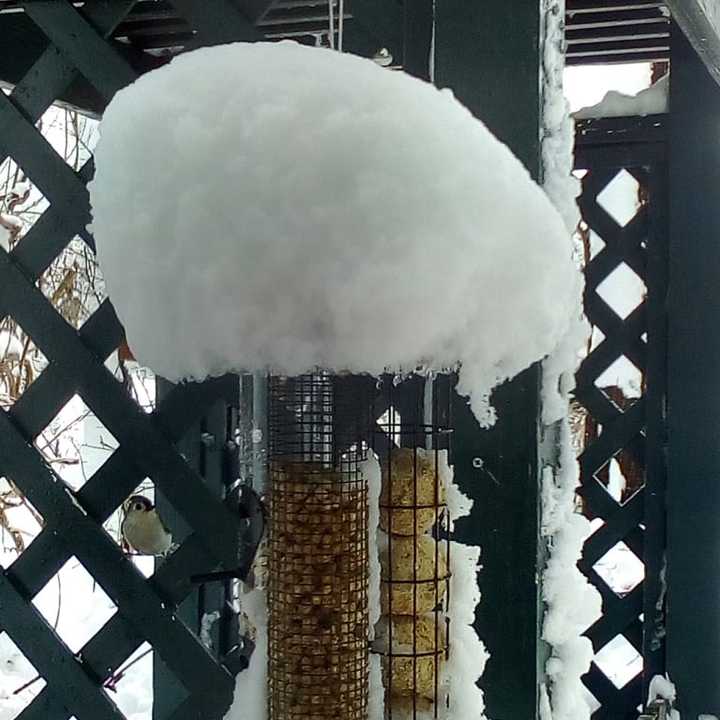 A snowy bird feeder in Granite Springs.