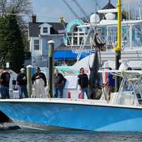 <p>Goldberg and Resetar's fish hoisted out of the fishing boat.</p>