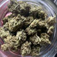 Insects, Human Hair Found In NJ Cannabis Products Recalled By State Board