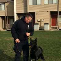 <p>Fairfield Officer Kevin Wells and his K9 partner Jagger</p>