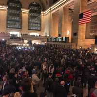 <p>Trains have been delayed by up to one hour on the New Haven and Harlem lines due to police activity at Botanical Gardens.</p>