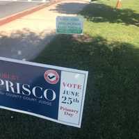 Here Are Northern Westchester's Primary Election Results