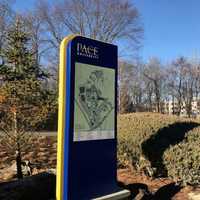 'Never Again' Anti-Gun Rally Organized By Pace University Students