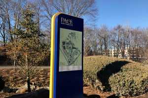 'Never Again' Anti-Gun Rally Organized By Pace University Students