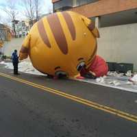 <p>Sadly, the huge balloons in the Stamford Thanksgiving parade were left tied down with sandbags on Sunday morning. It is too windy for the balloons to fly along the parade route.</p>