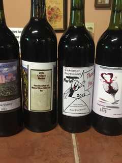Lion's Club Hosts Annual Wine Tasting In Mount Pleasant