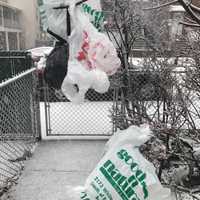 Plastic Bag Ban Takes Effect In Anne Arundel County