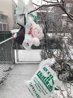 Here's When Ban On Single-Use Plastic Bags Takes Effect In NY