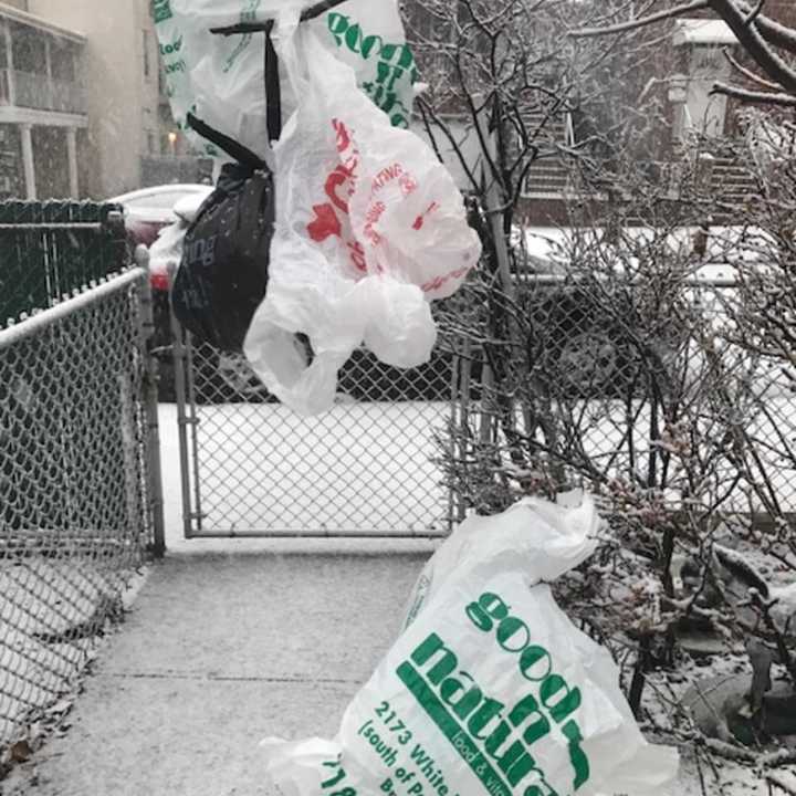 Gov. Andrew Cuomo and several Democratic state legislators want to ban the use of plastic bags, like these ones caught in some trees, to reduce environmental pollution.