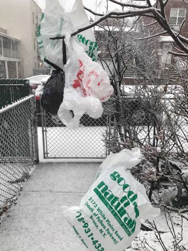 Plastic Bag Ban Takes Effect In Anne Arundel County