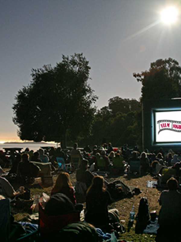 See 'Jurassic World,' 'Zootopia' At Fairview's Sixth Street Park