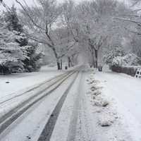 <p>Snow turned Bartram Avenue in Bridgeport into a winter wonderland.</p>