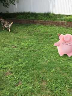 Pokémon Go's Craze Adds To Nintendo's Market Value