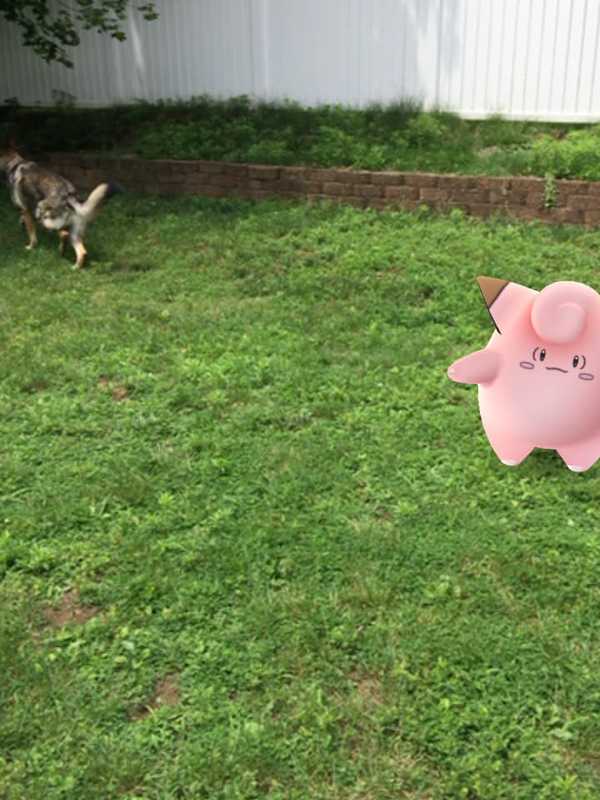 Pokémon Go's Craze Adds To Nintendo's Market Value
