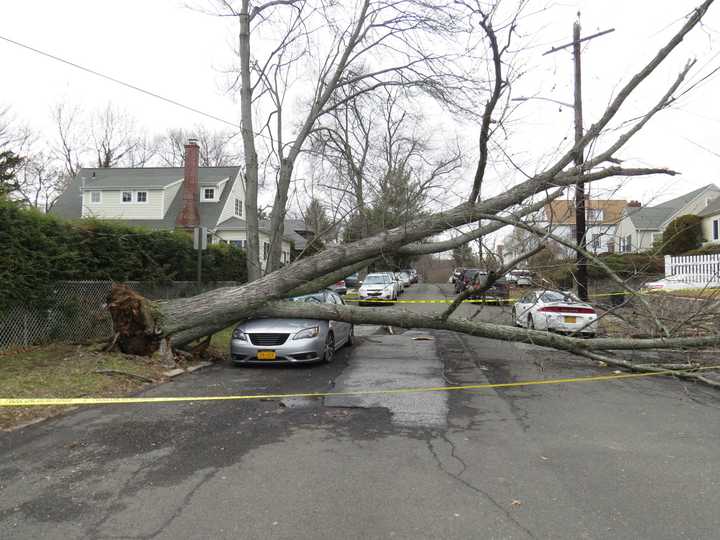 A tree is blocking Weeks Place in New Rochelle after Wednesday&#x27;s storm.