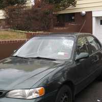 <p>The tree struck a windshield of a car on Weeks Place in New Rochelle.</p>