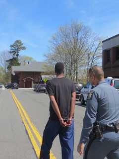 Purchase College Gun Suspect Arraigned On Menacing, Obstruction Charges
