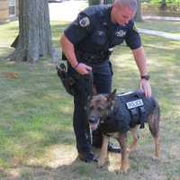 <p>New Rochelle K-9 Officer Matthew Glass showing off Diesel&#x27;s new bulletproof vest.</p>