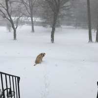 Frightful Or Delightful? Blustery Winter Storm Whips Through Greenwich