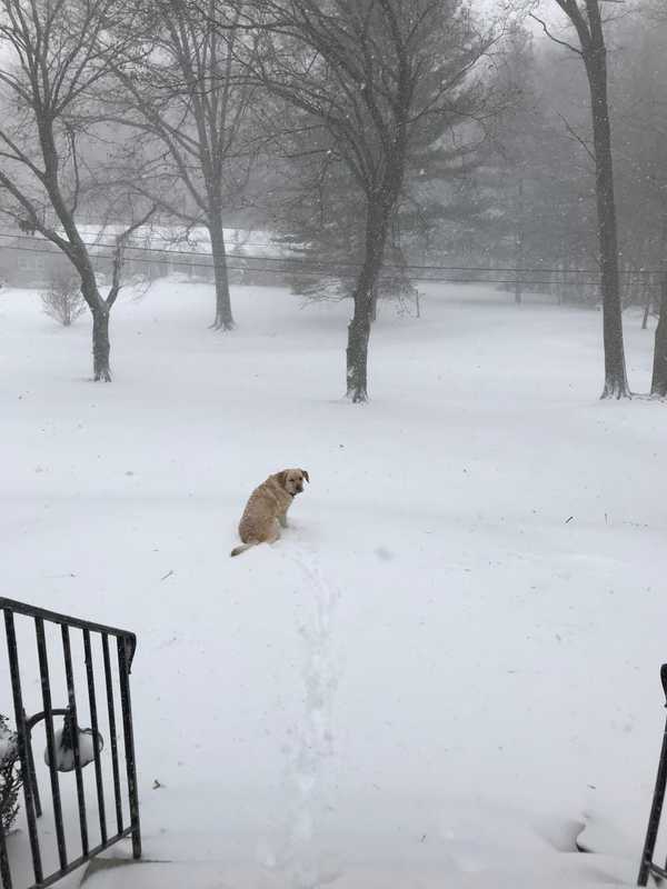 Snow Could Hit Stratford Today Ahead Of Slightly Warmer Week